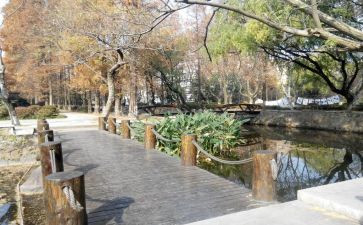 学校内部审计工作总结6篇
