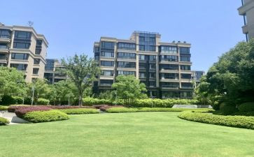 小区物公司年终总结8篇