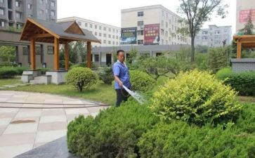 2024小区物业保洁工作总结8篇