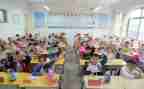 小学生调查报告模板7篇