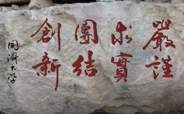 学校训练的心得体会6篇