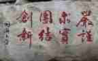 学校训练的心得体会6篇