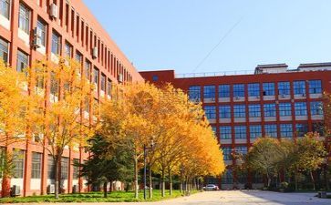 校园安全,心得体会通用8篇