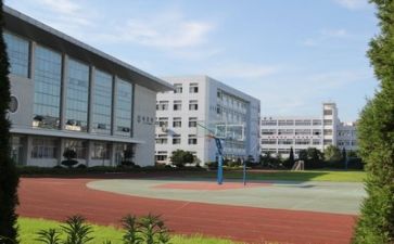 创建文明校园活动总结6篇