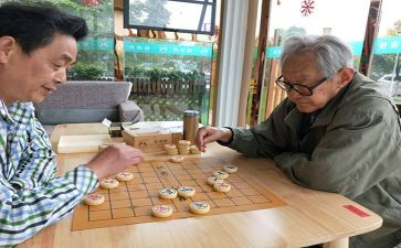 关于下棋作文5篇