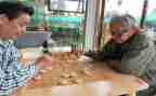关于下棋作文5篇