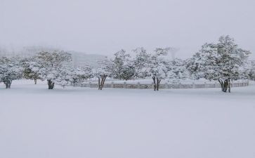 2024下雪作文通用5篇