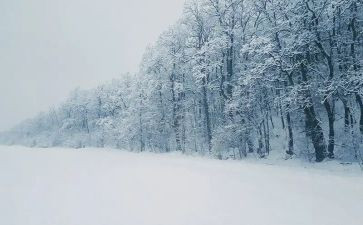 2024年下雪作文模板6篇