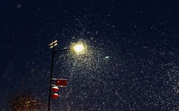 2024下雪作文参考6篇