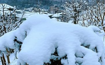 2024下雪作文最新8篇