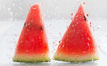 西瓜船大班语言教案5篇