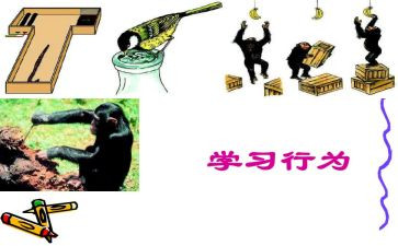 学教师职业行为十项准则心得体会5篇