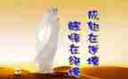 醒悟的作文800字参考7篇