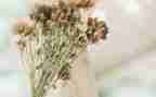 我心目中的他作文参考6篇