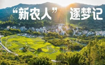 乡镇新农合工作总结7篇