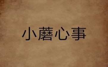 分心事作文模板5篇