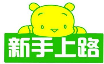 会计新手的年终总结5篇