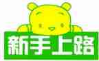 会计新手的年终总结5篇