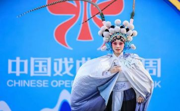 小学戏曲节活动总结8篇