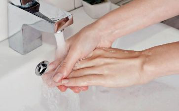 教幼儿洗手的教案8篇