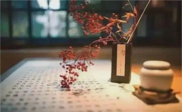 教师个人修养心得体会6篇