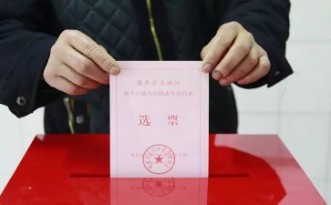 支部选举工作总结6篇