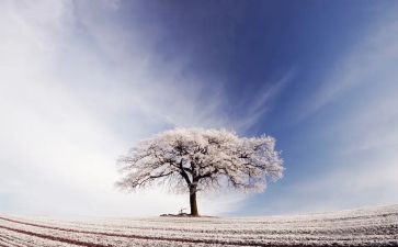 除雪城管工作总结推荐8篇