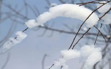 社区除雪工作总结优质7篇