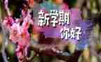 新学期新计划的作文参考6篇