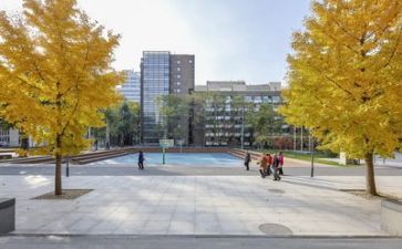 去学校调研报告范文5篇