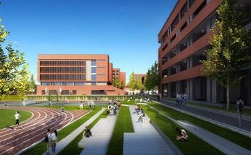学校抓安全工作总结通用8篇