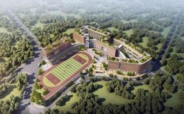 学校环保日活动总结7篇