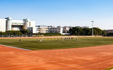学校心得体会优质5篇