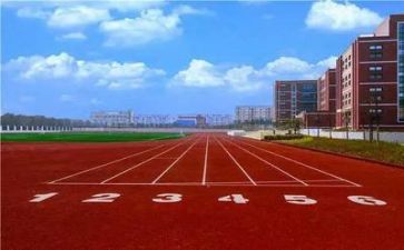 2022学校会计年终总结8篇