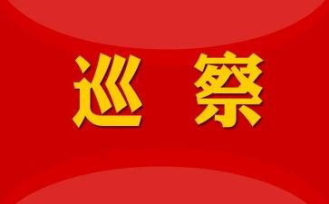 个人巡察组工作总结7篇