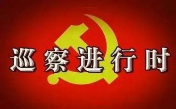向巡察组工作汇报材料7篇