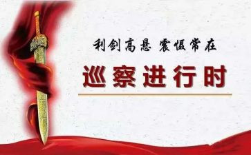 巡察组工作个人总结5篇