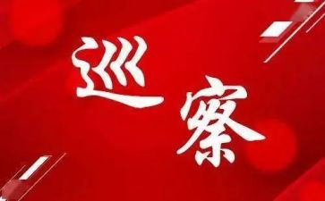 第x巡察组巡察工作报告优秀6篇
