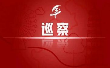 到村巡察工作总结8篇