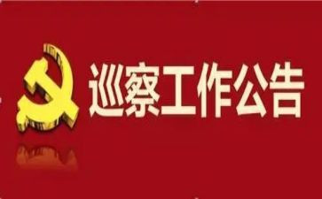 参加巡察工作总结5篇