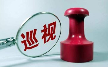 向巡查组工作总结8篇