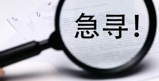 寻访实践报告5篇
