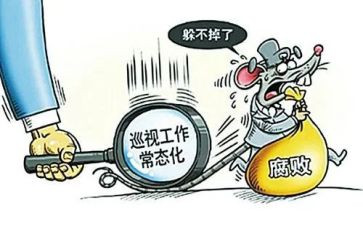 巡视学习心得体会7篇