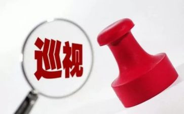 参加巡视工作总结5篇