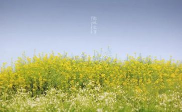 我是00后叙事作文5篇