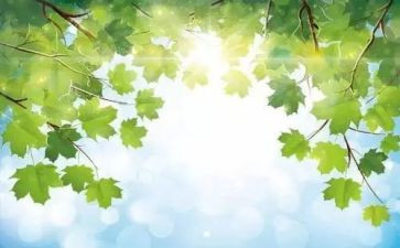 生日的叙事作文模板6篇