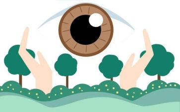 爱眼护眼活动活动总结8篇