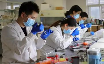 技术研发工作计划8篇