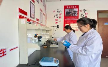 研发员的工作计划6篇