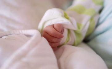 梨宝宝教案优质5篇